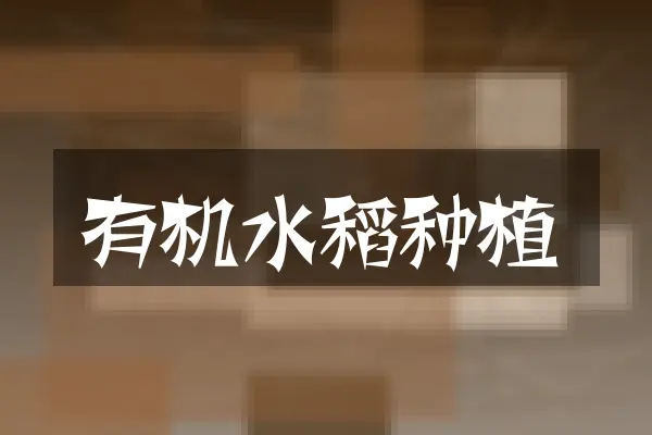 有机水稻种植