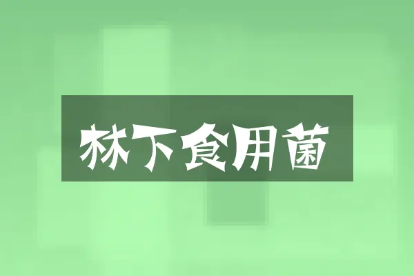 林下食用菌