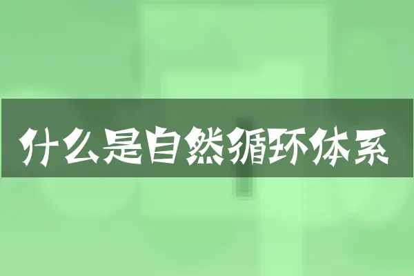 什么是自然循环体系