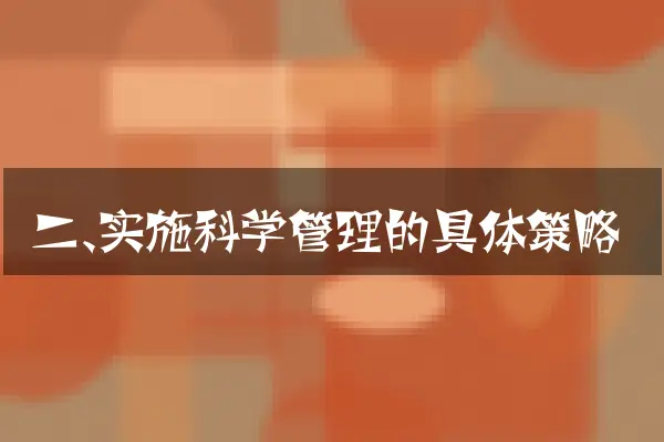 二、实施科学管理的具体策略