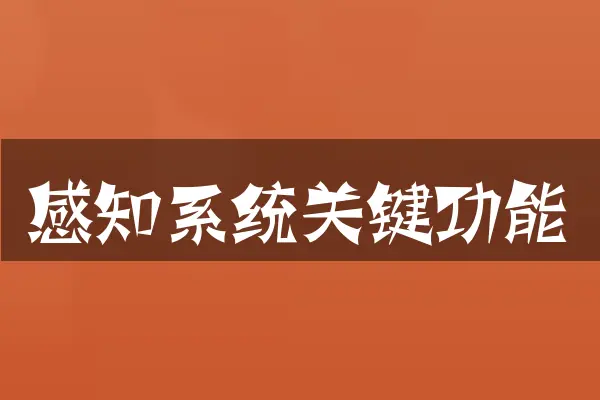 感知系统关键功能