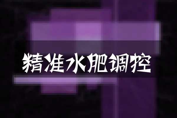 精准水肥调控