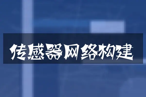 传感器网络构建