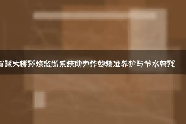 智慧大棚环境监测系统助力作物精准养护与节水管理